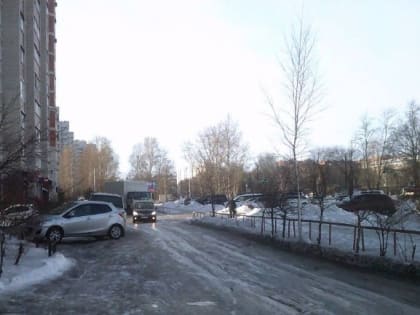 Почти сотню нарушений Правил благоустройства управляйками выявили в Благовещенске с 1 декабря