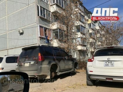 Необычная месть в Благовещенске