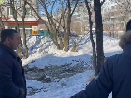 В Благовещенске стартовали работы на Бурхановке. Чего опасаются власти? (видео)