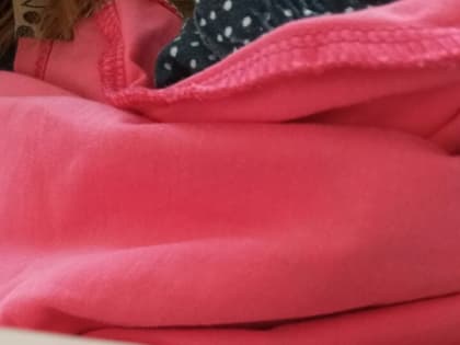 «У нас порвана куртка и два синяка на руке»: на кидающуюся стаю безнадзорных собак жалуются жители Благовещенска