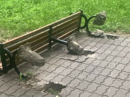 Премию за сведения о вандалах, «погулявших» в парке, выплатит мэр Белогорска