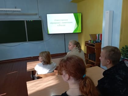 Образовательные лекции о бездомных животных в Белогорском округе