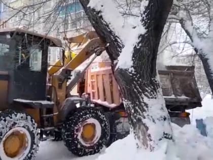 Управляющие компании Благовещенска начали уборку дворовых территорий