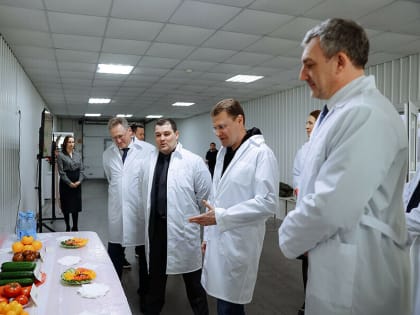 На комбинате «Тепличный» в Благовещенске собираются выращивать грибы и ягоды (фото)