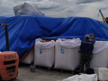 В Монголии впервые получат кукурузу из Амурской области