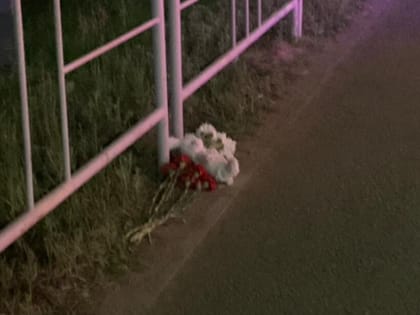 В Благовещенске на месте чудовищного ДТП с жертвами появился стихийный мемориал