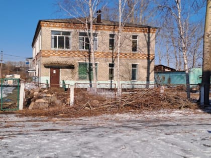 600 тысяч на спил деревьев из местного бюджета