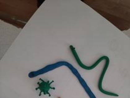 Профилактика глистной инвазии