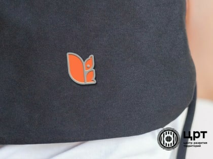 Благовещенцы заметили, что на новой символике Первомайского парка изображена не амурская белка (видео)