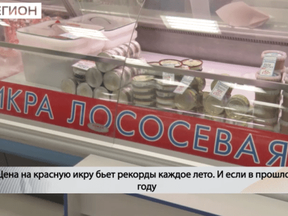 «Золотая» икра: жителям Камчатки продают килограмм деликатеса почти за 9 000 рублей