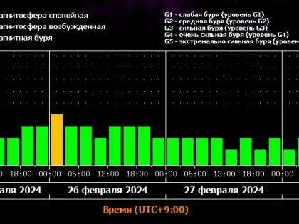 В Амурской области снова может наблюдаться северное сияние: астрономы пообещали магнитную бурю 26 февраля