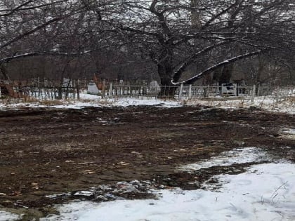 За свалку на старинном кладбище мэру Благовещенска внесено представление