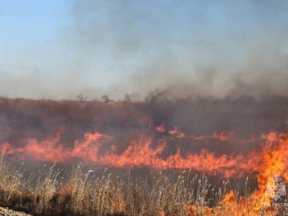 В Приамурье пожарные за сутки потушили 22 пала