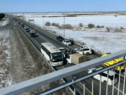Родственники погибшего водителя Toyota Wish рассказали, почему он так резко выехал на встречку