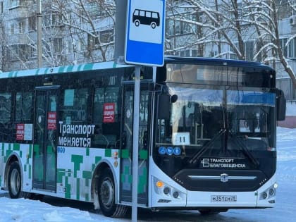 Общественный транспорт в Благовещенске восстанавливается после снегопада