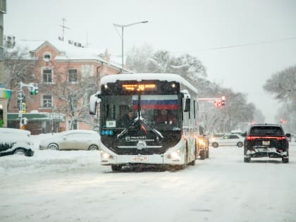 Общественный транспорт в Благовещенске: восстановление и улучшения