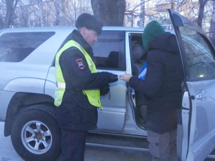 Госавтоинспекторы Благовещенска проверяют родителей на соблюдение правил перевозки детей