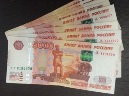Бюджет Амурской области: 300 миллионов на зарплаты бюджетникам