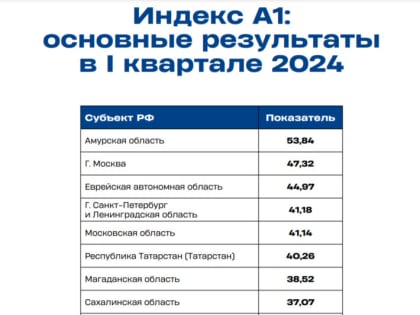 РАН назвала Амурскую область лучшим местом в России для китайских инвестиций