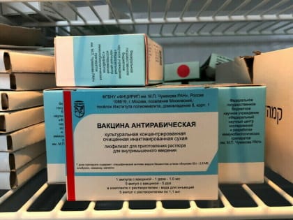 Почему амурчане не могли получить вакцину от бешенства, объяснили в минздраве