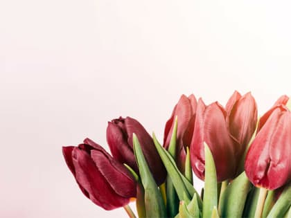 Благовещенцев просят сообщать о нелегальной торговле цветами