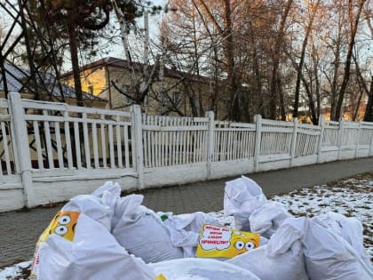 Акция «Город берегу» в Благовещенске: чистота и порядок в каждом дворе