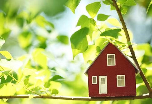 Что ожидает дачников в 2021 году. Смотреть фото Что ожидает дачников в 2021 году. Смотреть картинку Что ожидает дачников в 2021 году. Картинка про Что ожидает дачников в 2021 году. Фото Что ожидает дачников в 2021 году Что ожидает дачников в 2021 году. Смотреть фото Что ожидает дачников в 2021 году. Смотреть картинку Что ожидает дачников в 2021 году. Картинка про Что ожидает дачников в 2021 году. Фото Что ожидает дачников в 2021 году