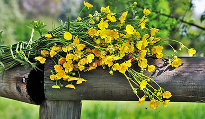 Что ожидает дачников в 2021 году. Смотреть фото Что ожидает дачников в 2021 году. Смотреть картинку Что ожидает дачников в 2021 году. Картинка про Что ожидает дачников в 2021 году. Фото Что ожидает дачников в 2021 году Что ожидает дачников в 2021 году. Смотреть фото Что ожидает дачников в 2021 году. Смотреть картинку Что ожидает дачников в 2021 году. Картинка про Что ожидает дачников в 2021 году. Фото Что ожидает дачников в 2021 году