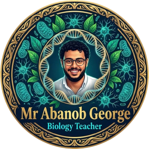 صورة المدرس