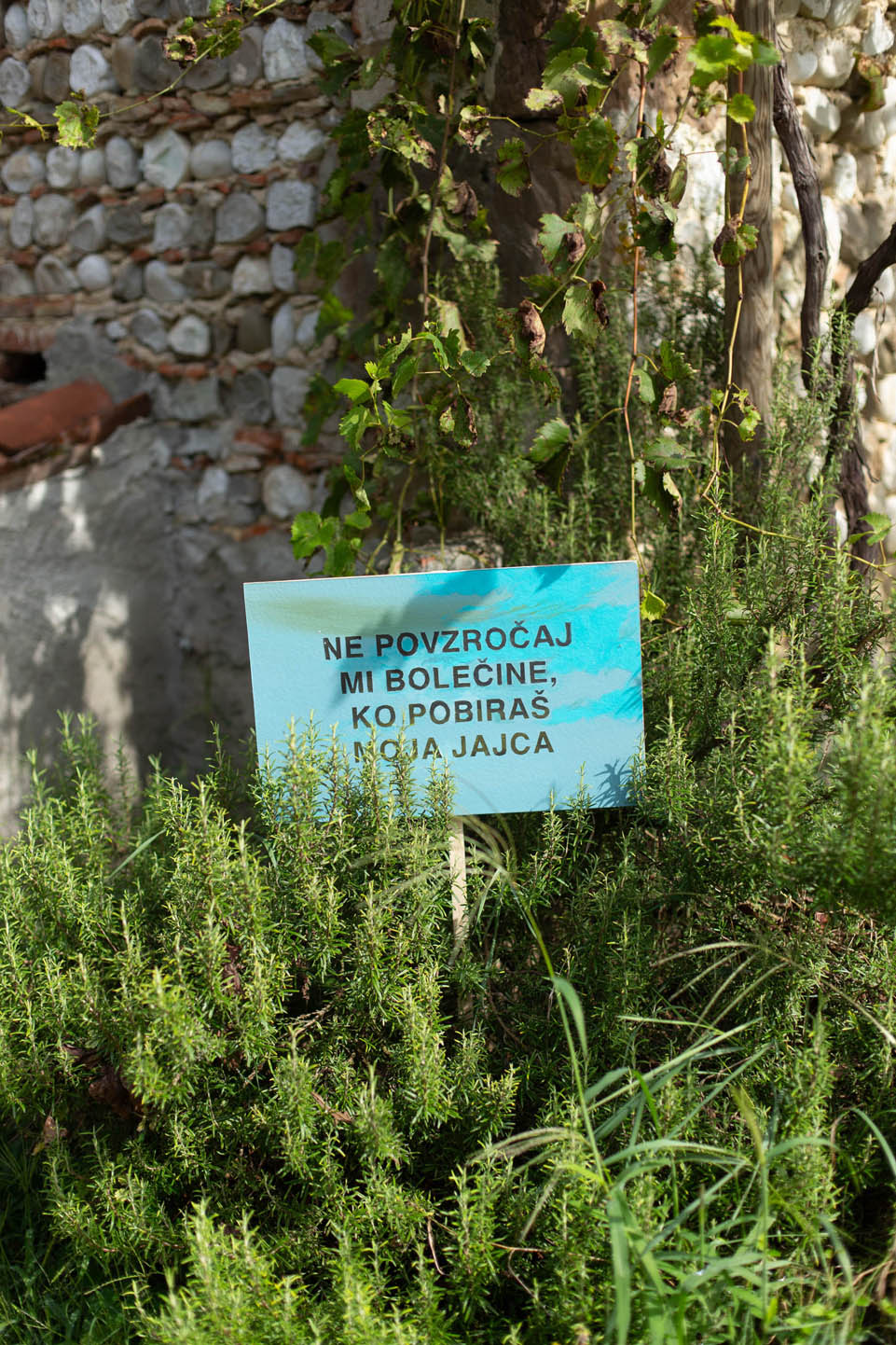 Nada Prlja, I was born to fly, 2023, installazione site-specific, olio su tavola, dimensioni variabili. RAVE East Village Artist Residency. Foto di Ketty Gratton.