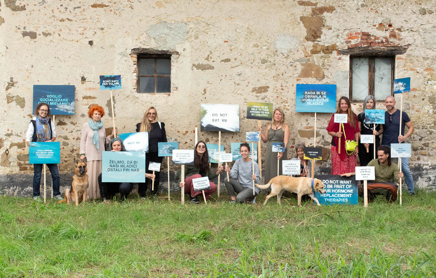 Nada Prlja, I was born to fly, 2023, installazione site-specific, olio su tavola, dimensioni variabili. RAVE East Village Artist Residency. Foto di Ketty Gratton.
