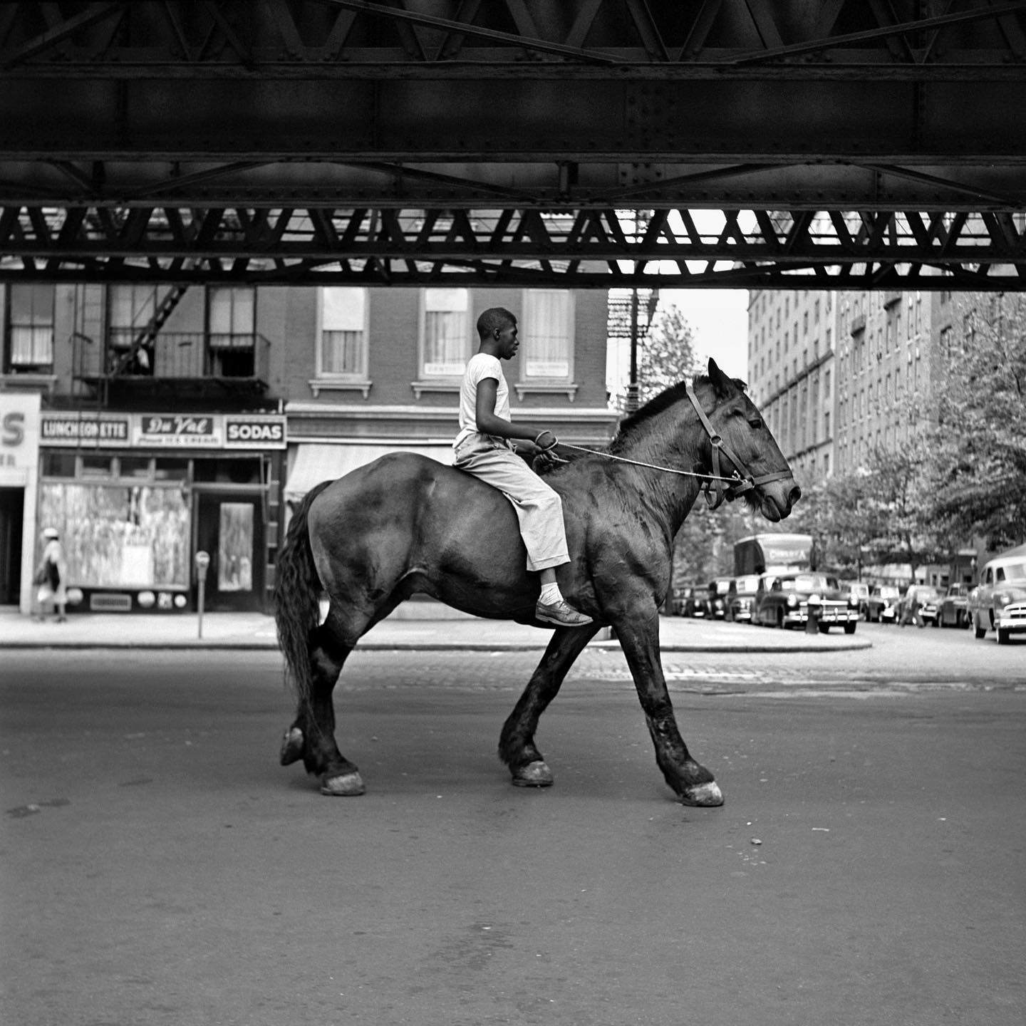 Maier, V. 1953, New York. [6x6 Photograph].