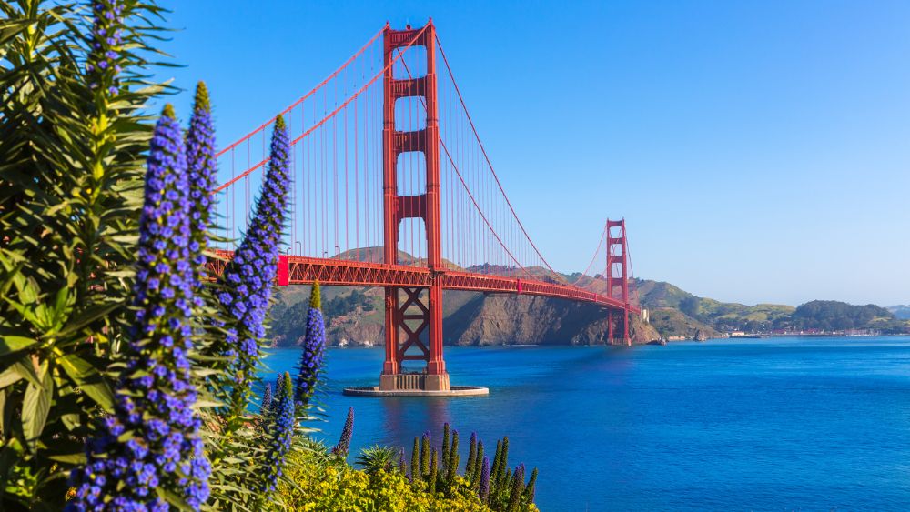 San Francisco Bay Area