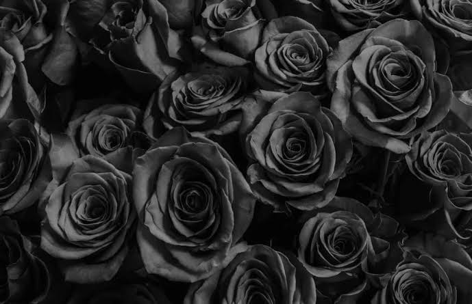 Lorem Ipsum es simplemente el texto de relleno de las imprentas y archivos de texto.