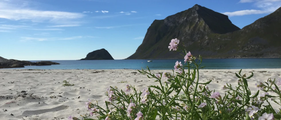 Lofoten Avfallsselskap IKS - firmabilde