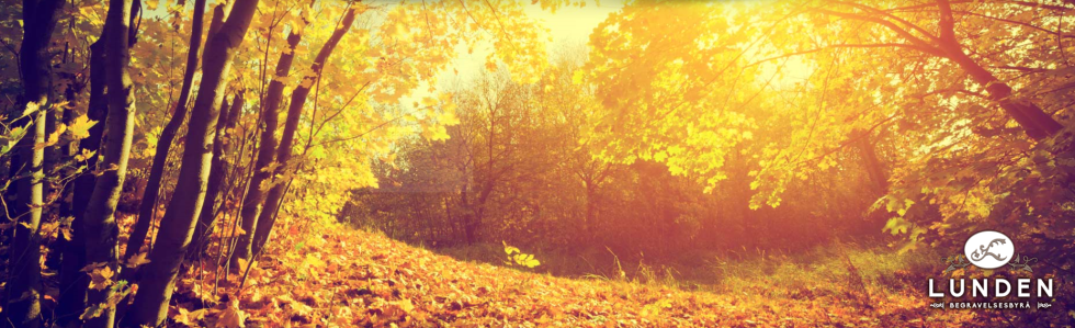 Lunden begravelsesbyrå AS