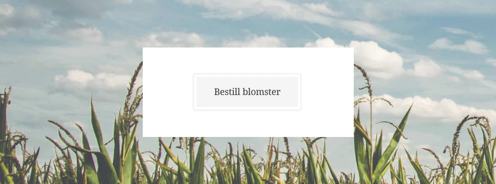 Alfa Begravelsesbyrå AS - 2018