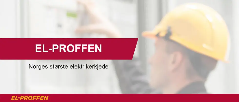 El proffen firmabilde -2020