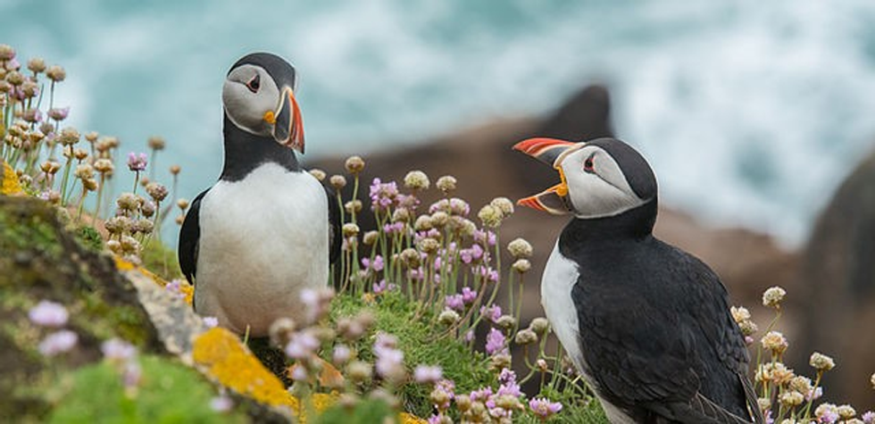 Malermester Jens Petter Lunde AS