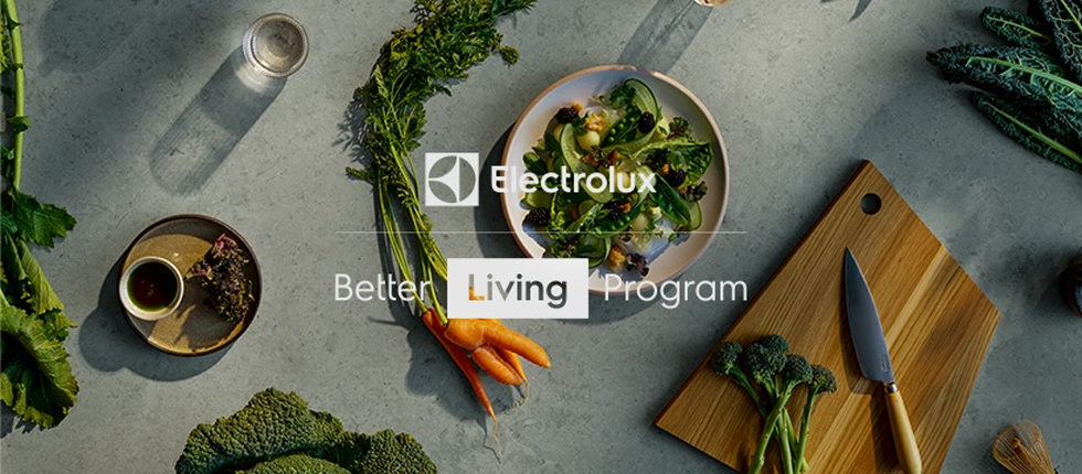 Electrolux Home Products Norway AS