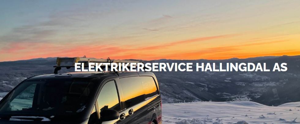 Elektrikerservice Hallingdal AS