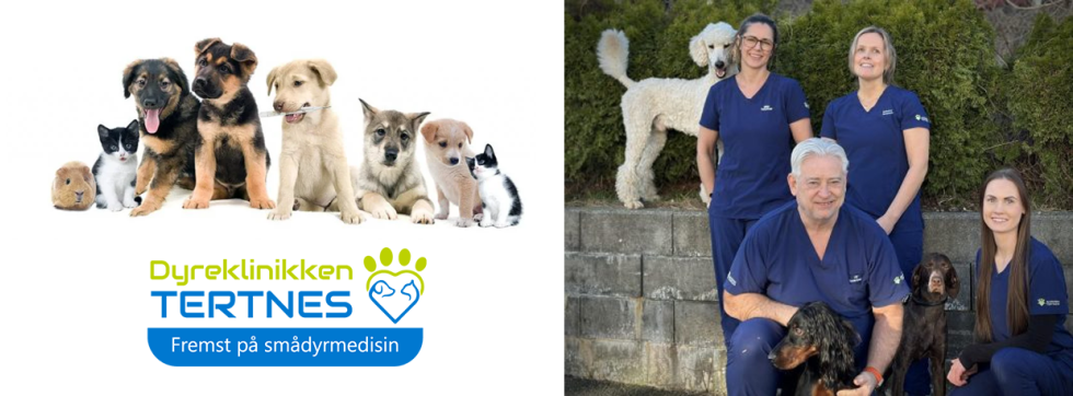 Dyreklinikken Tertnes AS