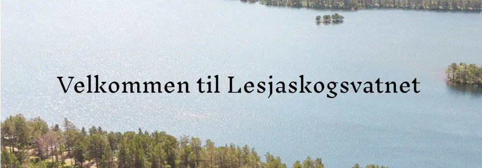 Lesjaskogsvatnet Camping AS