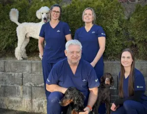 Dyreklinikken Tertnes AS