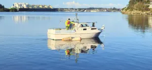 Miljø & Pluggrensing AS