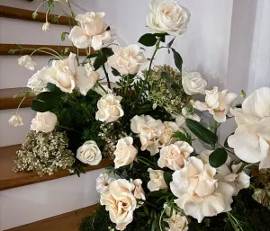 Hilverda de Boer Oslo