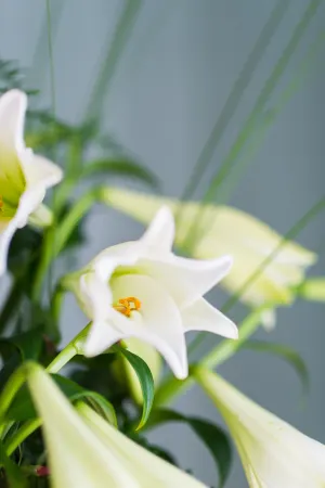 Solstad Begravelsesbyrå