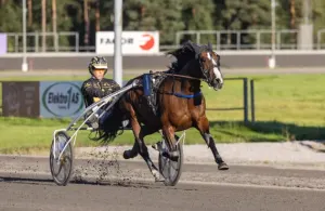 Klosterskogen Travbane