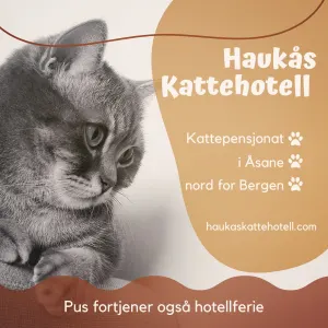 Haukås Kattehotell AS