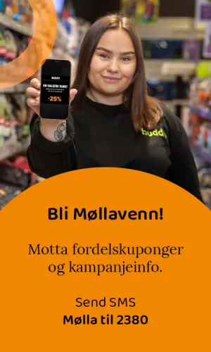 Mølla Storsenter